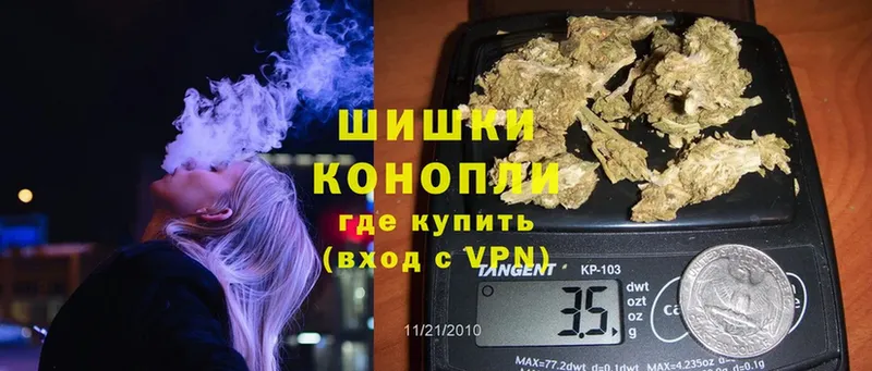 купить наркотик  Петровск-Забайкальский  Конопля OG Kush 